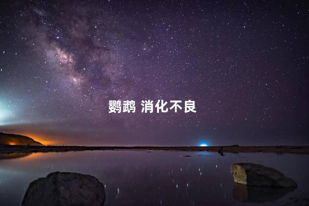 鹦鹉 消化不良
